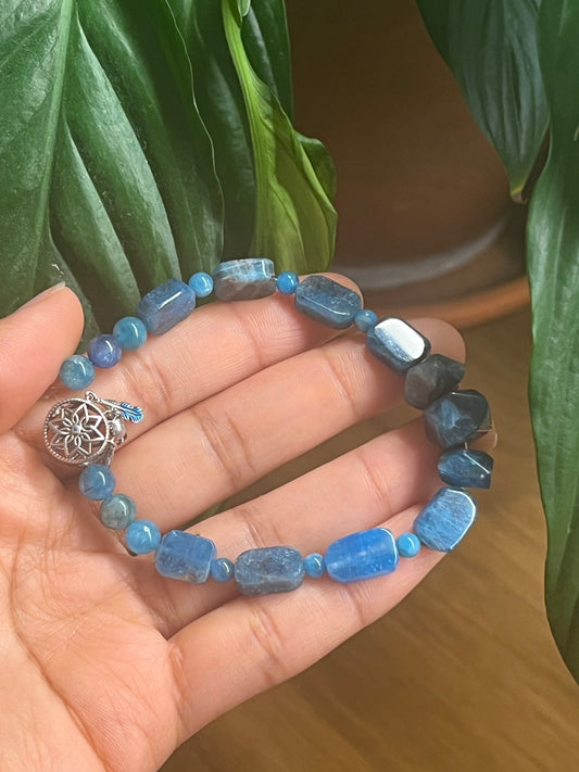 Songe de Waya - Talisman de vision, de force intérieure et de connexion animale